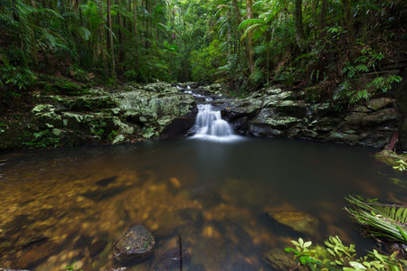 Gold Coast and Tweed Coast hinterland waterfalls, Australia
