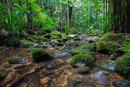 Gold Coast and Tweed Coast hinterland waterfalls, Australia