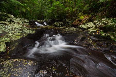 Gold Coast and Tweed Coast hinterland waterfalls, Australia