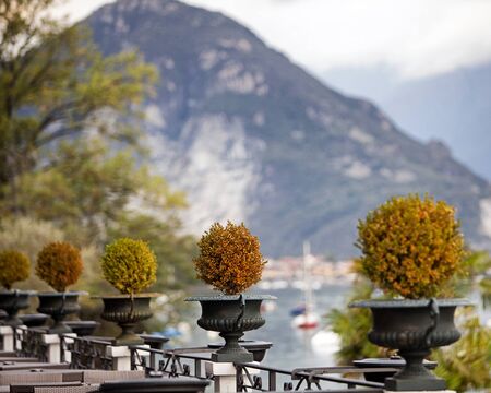 Row of decorative topiary plats along a patio on a scenic lake in Italyの写真素材