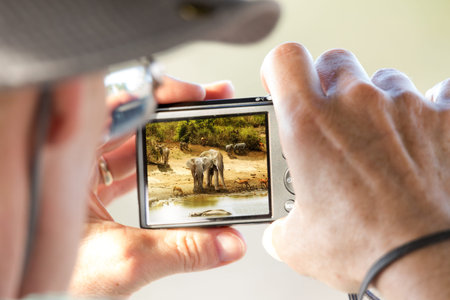 Tourist on Safari vacation in South Africa taking a photograph of wildlife