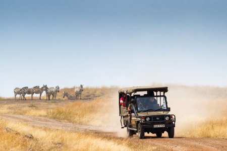 Masai Mara, Kenya, Africa - July 29, 2017: Safari tourists view herds of zebra during migration season in the Mara Triangle region of Kenyaのeditorial素材