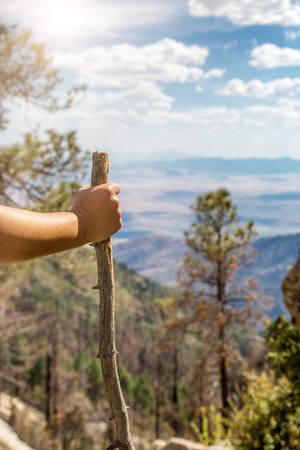 Closeup of a hand on a walking stick of a person hiking in the Coronado National Forest on Mount Graham in Arizonaの写真素材