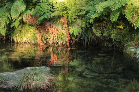 Reflections at sunset on the LÃ©rez river, near Puebla del CaramiÃ±al (CoruÃ±a, Spain)の写真素材