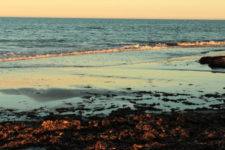 Reflections in the wet sand during sunset on a Mediterranean beachの写真素材