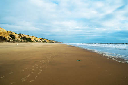 Beach and cliffの写真素材
