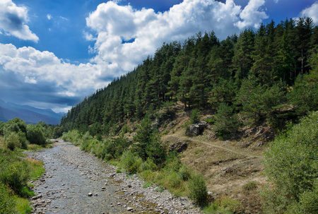 Small river in Rila mountain. Govedartsy village, Bulgaria.の写真素材
