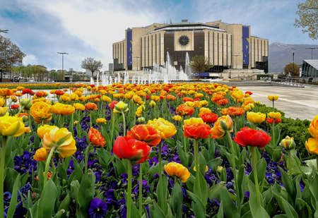 Tulip garden and fountain in front of the National Palace of Culture, Sofia, Bulgaria.のeditorial素材