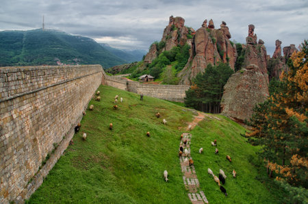 The Belogradchik rocks are natural phenomena. The rock ensemble contains groups of rock figures, resembling people, animals and various objects. An old fortress is situated in their foot.の写真素材