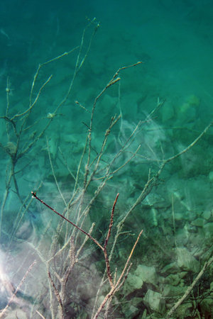 crystal clear blue water of a mountain lakeの写真素材