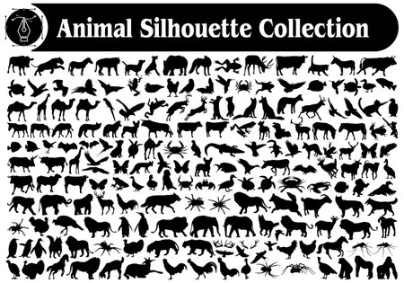 Collection of Different Animals silhouettesのイラスト素材
