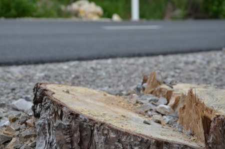 chokeの写真素材