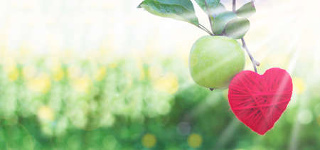 red woolen heart growing nature, valentines day, loveの写真素材