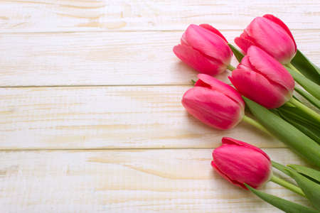 bouquet of tulips with a blank space for text on white background woodenの写真素材