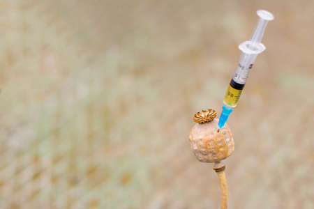 Drug opium poppy inside the syringe. Deadly drug addiction. On an old rusty background. Empty space for textの写真素材