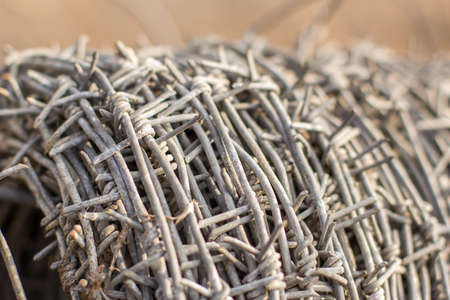 Barbed wire. Restriction of freedom or protectionの写真素材