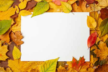 Autumn yellow leaves and rectangular blank label for text. Concept of autumn sale and discounts....