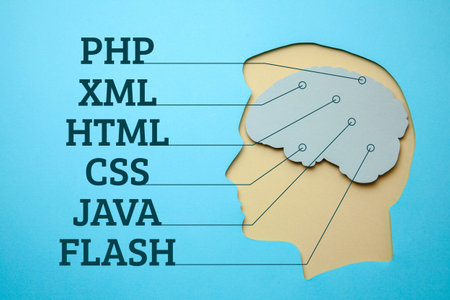 The brain of the programmer. Learning programming or finding good employee.