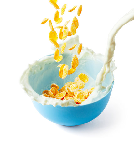 Cornflakes dry breakfast with milk. Stream of milk with cheese and splash pours into blue plate with...