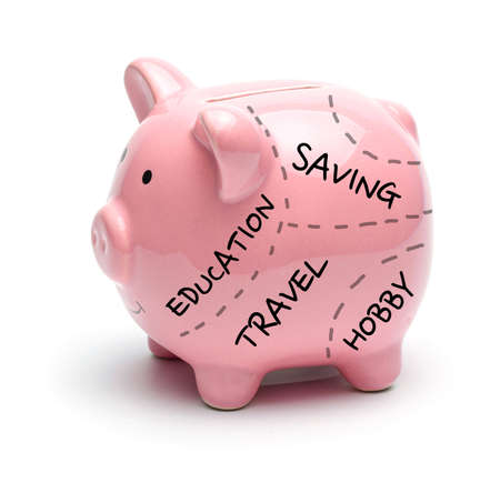 Pink piggy bank and inscriptions on it, education, travel, savings, hobby isolated on a white background.の写真素材