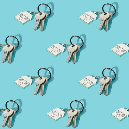 Seamless texture pattern. Keys and keychain house on a green background. Set. Long harsh shadow from the summer sunshineの写真素材