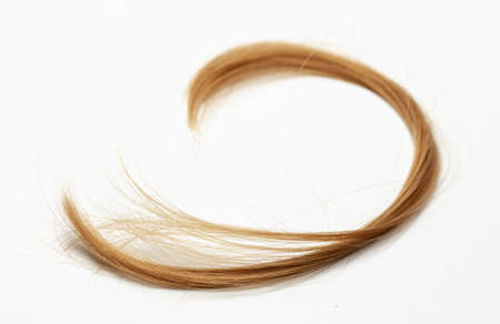 Cut hair curls on Grayの写真素材