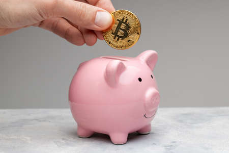 Piggy bank for bitcoins. A man holds a currency in his hands and puts bitcoin in a piggy bank on a gray backgroundの写真素材