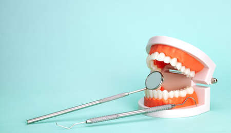 Jaw with dentist tools on a green backgroundの写真素材