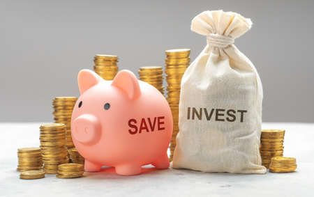 Investment or savings. Piggy bank for savings and money bag for investmentsの写真素材