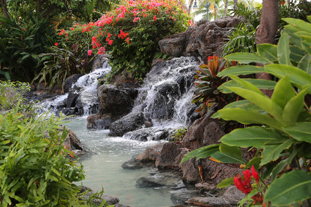 stream garden flower plant red rocks hawaiiの写真素材