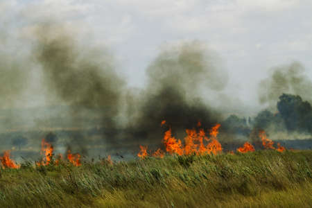 Burn fieldsの写真素材