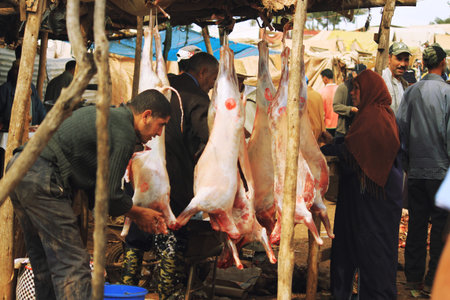 Fresh meat in market place, Morocco