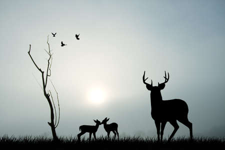 deers silhouetteの写真素材