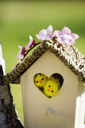 Birdhouseの写真素材