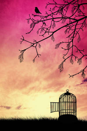 Cage for birdの写真素材