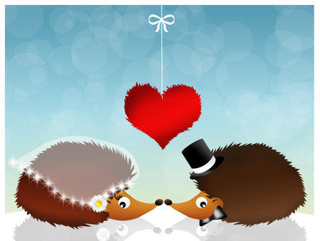 hedgehogs in loveの写真素材