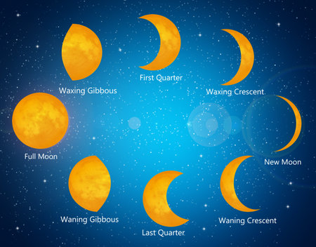 Moon phases