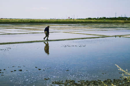 landscape of salternの写真素材