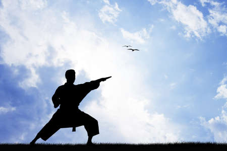 Karate at sunsetの写真素材