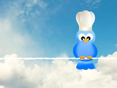 bird with chef hatの写真素材