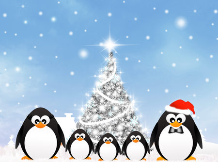 Penguins at Christmasの写真素材
