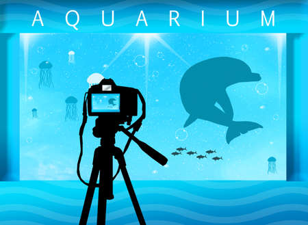Photo in the aquariumの写真素材