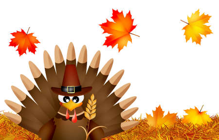 Thanksgiving postcardの写真素材