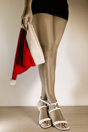 Santa Claus is a womanの素材