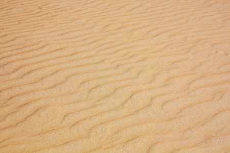 desert sand