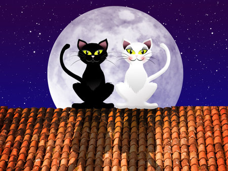 Cats on roofの写真素材