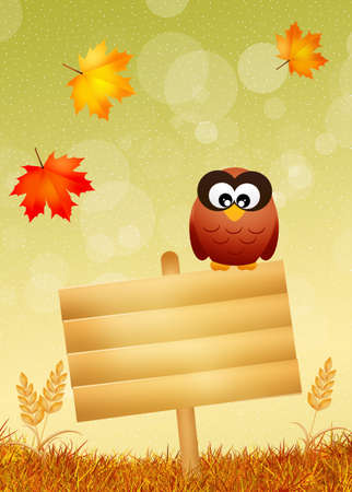 owl in autumnの写真素材