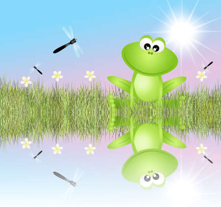 frog in the pondの写真素材