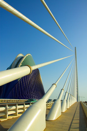 City of Arts and Sciences, Valencia, Spainのeditorial素材