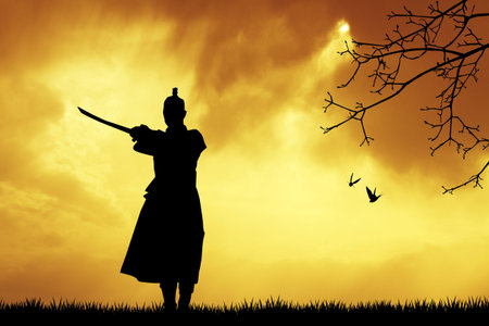 Samurai silhouetteの写真素材
